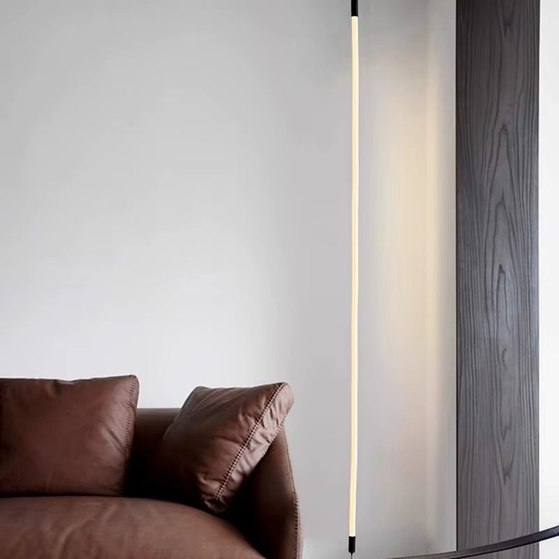 Modern LED Floor Lamp